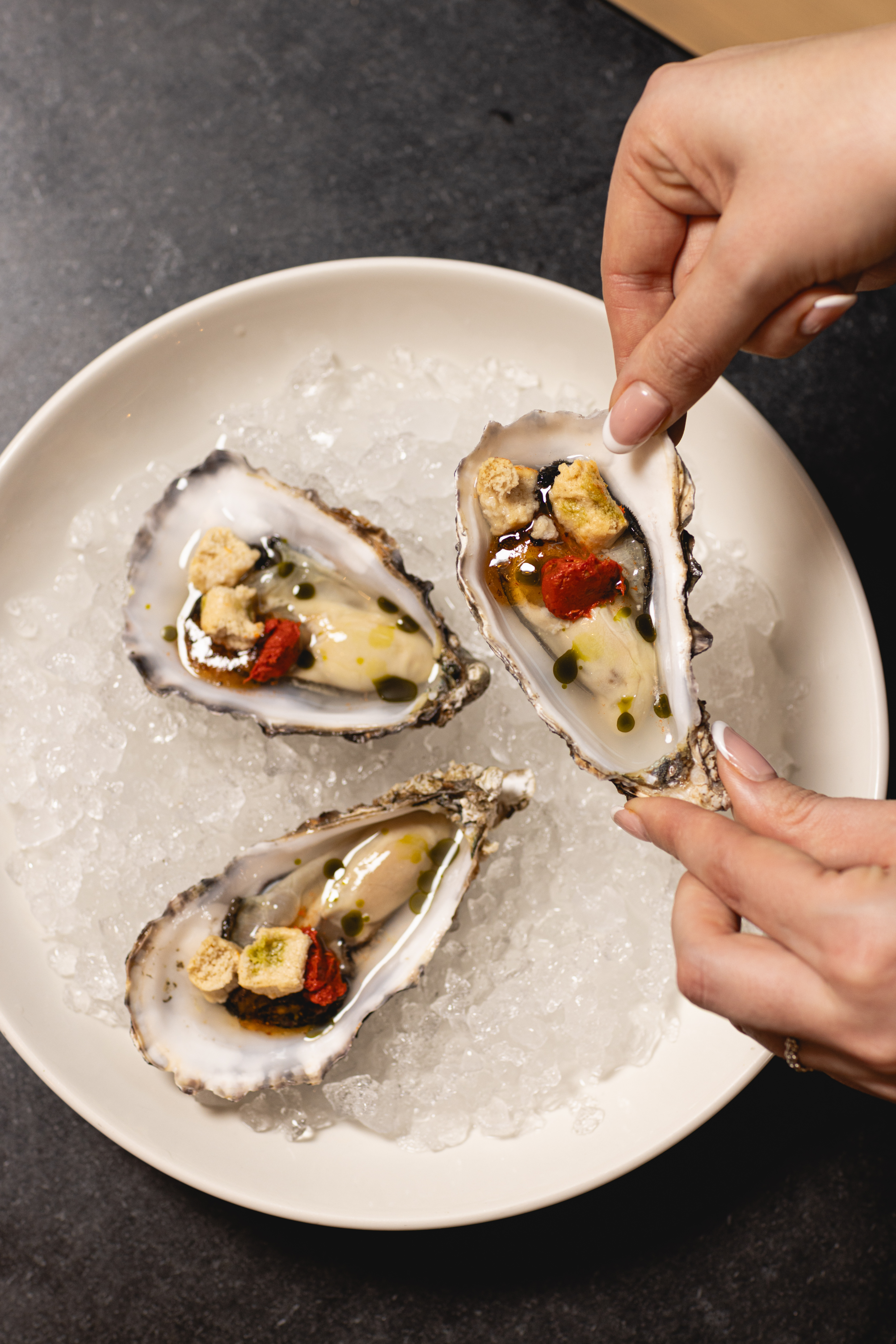 OYSTERS Johnny Stephens Photography 48 0E8A3092