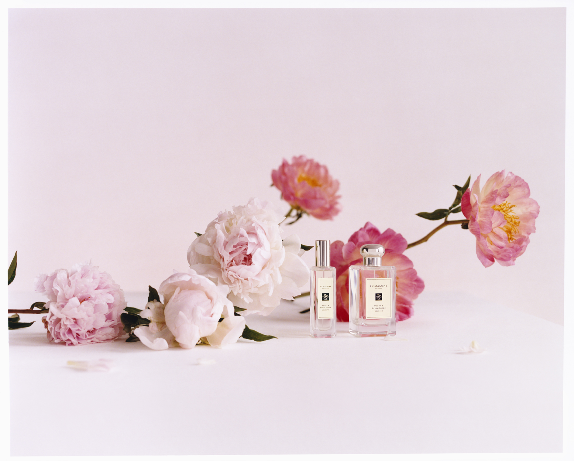 BAU FY24 Still Life PBS Cologne Print 1 MU RGB 1998 72