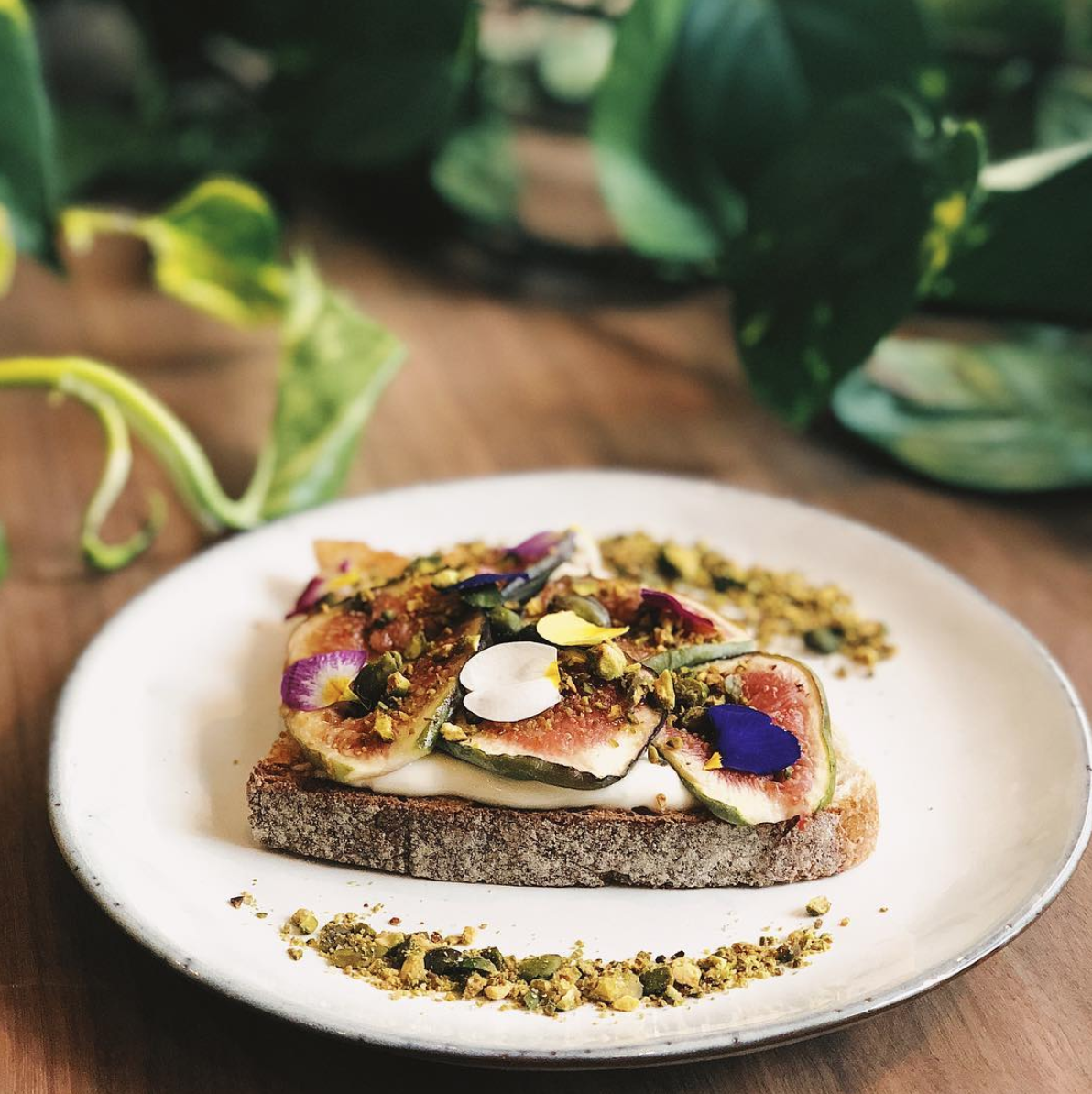 Abuelo Covent Garden (1)