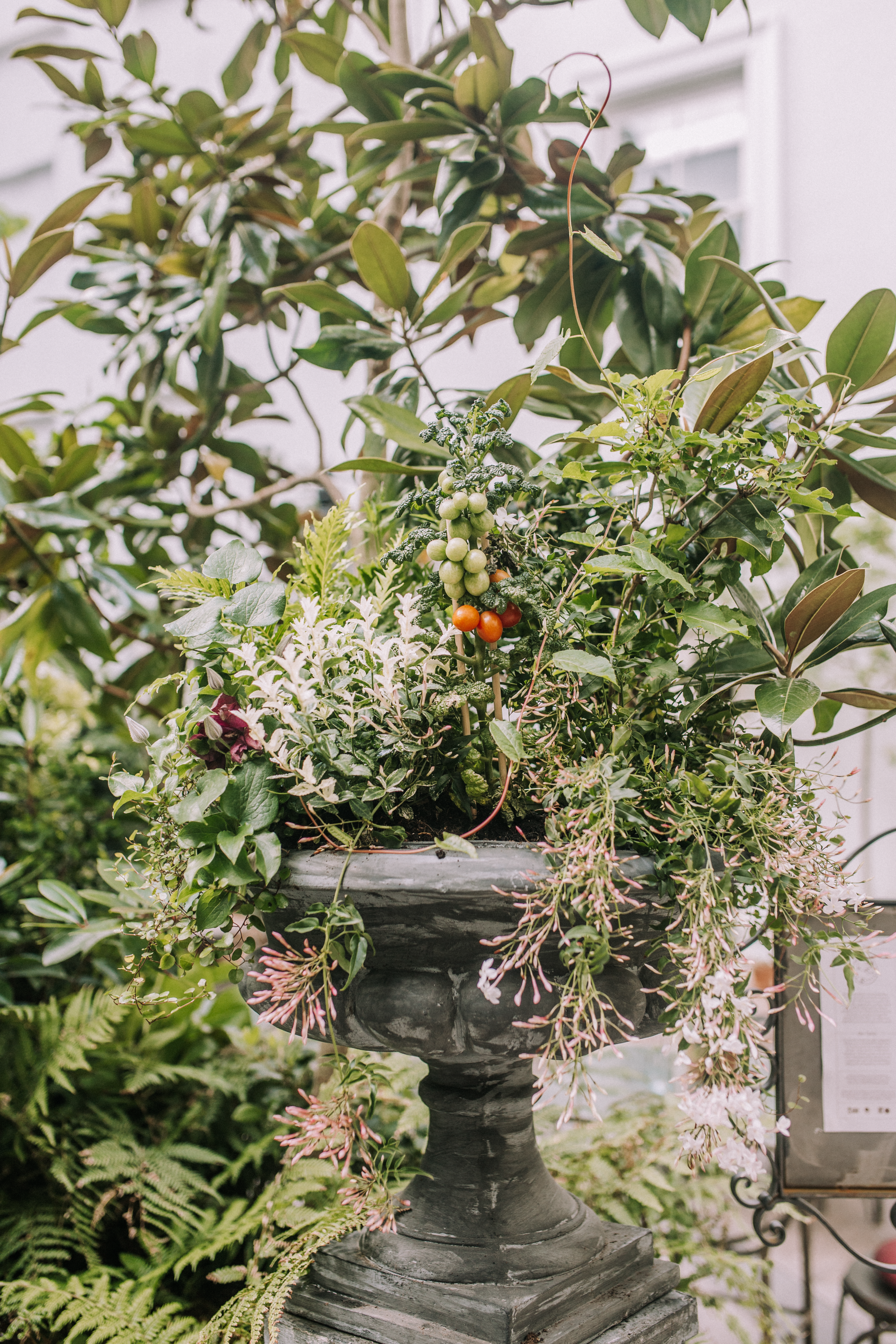 Covent Gardening Easiest Vegetables Grow Home 5801 Page 7 Image 0001