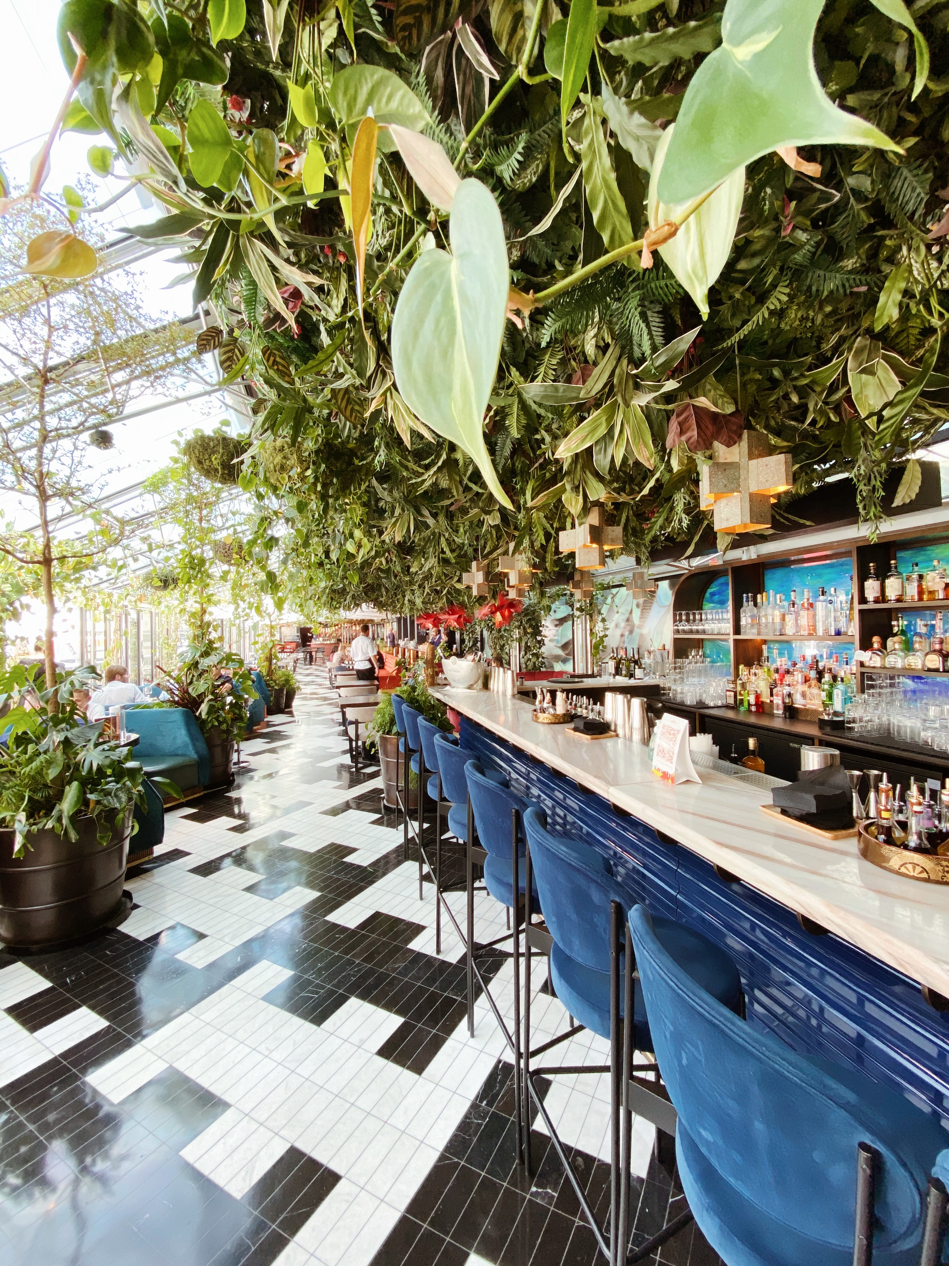 21B32FC2 7A78 422F BC4E F154672F4767 (1)