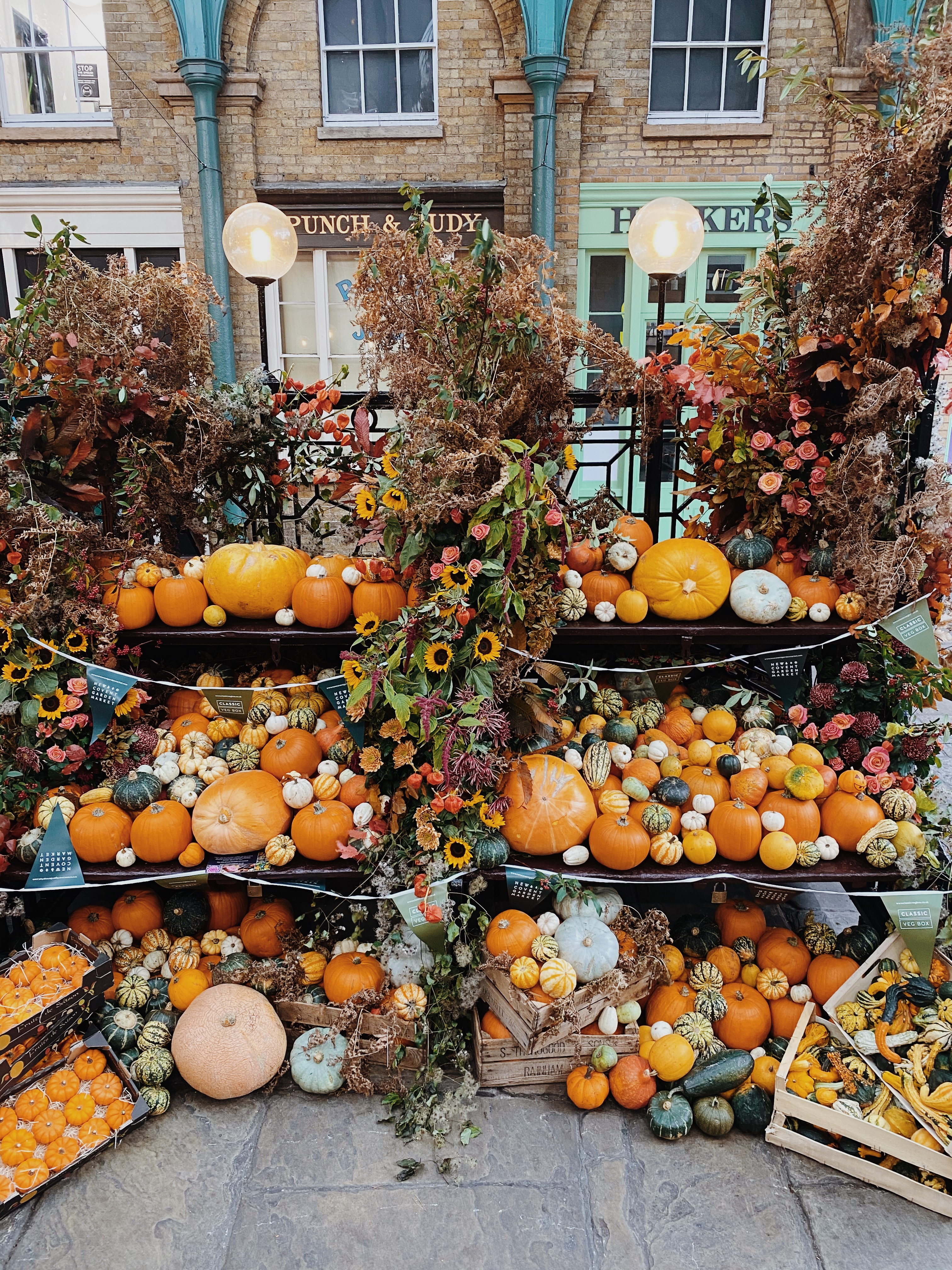 Covent Garden Pumpkin Market 2020 (1)