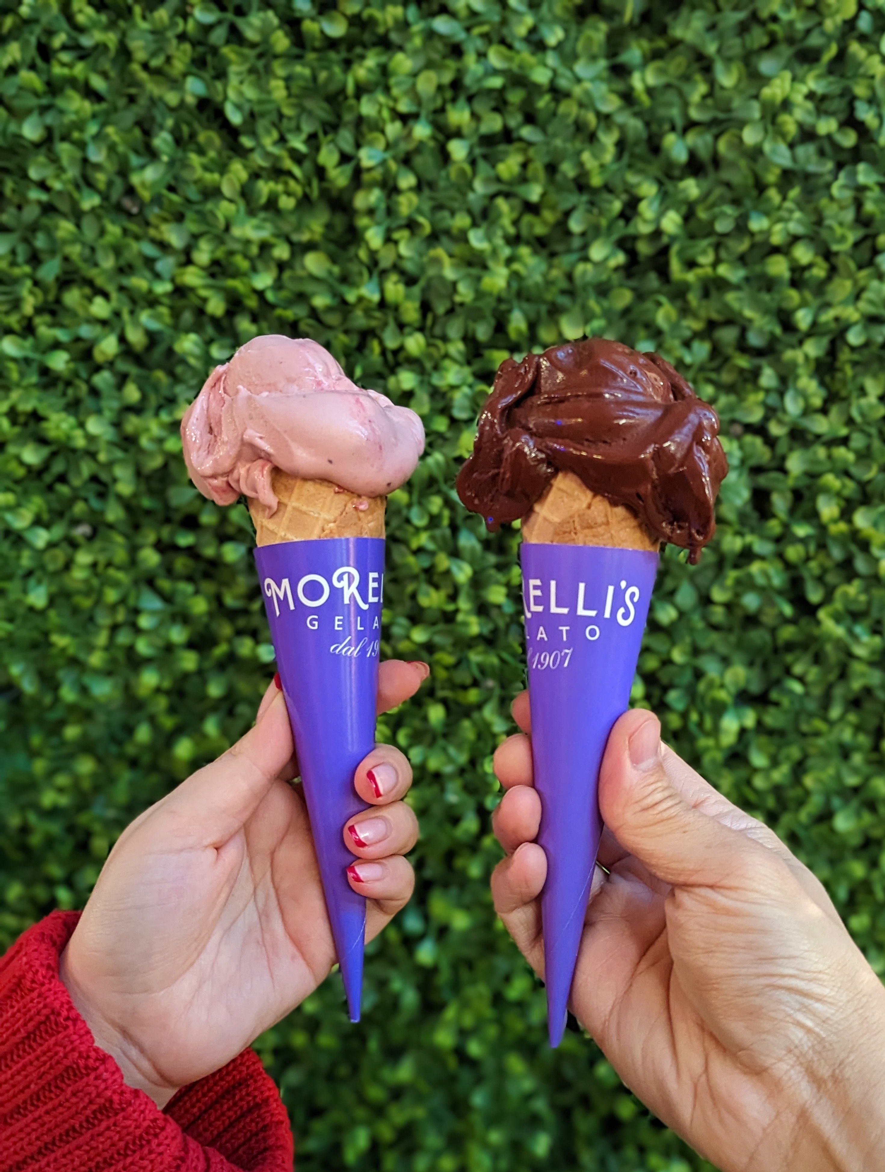 PXL 20230112 160702966.PORTRAIT 01