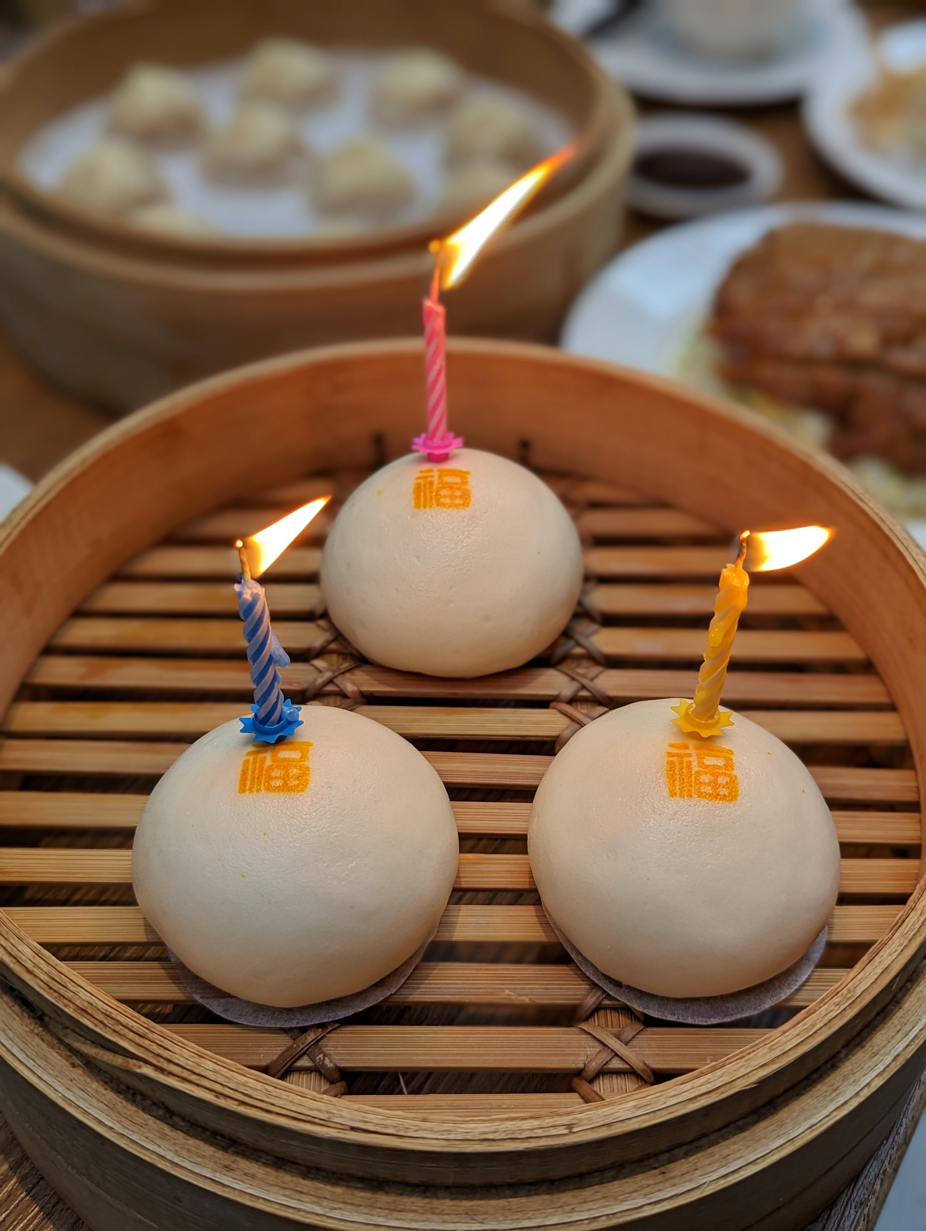 PXL 20230208 133921744.PORTRAIT 01