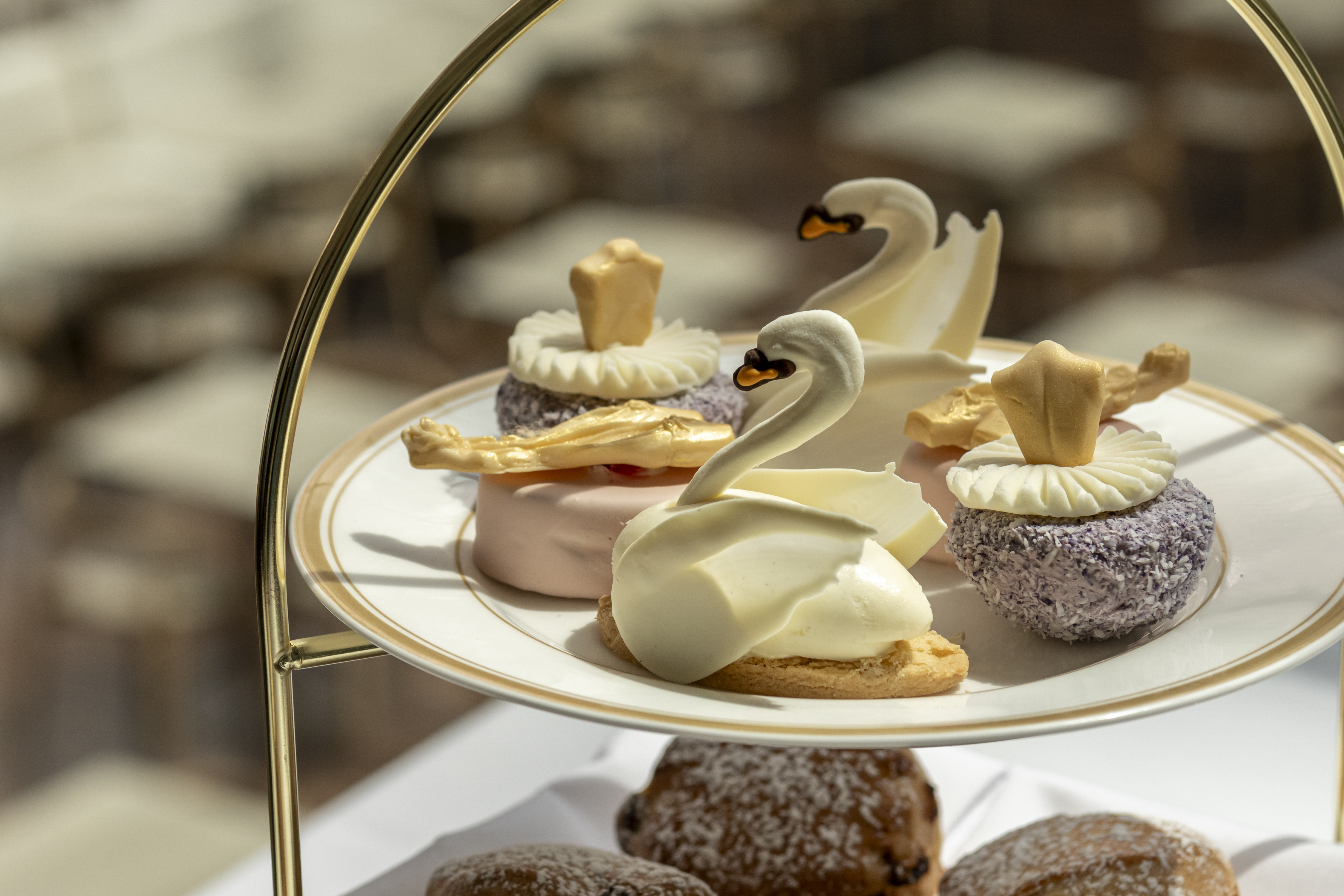 RBO Afternoon Tea © RBO 2025. Photographed By Eleonora Boscarelli 3