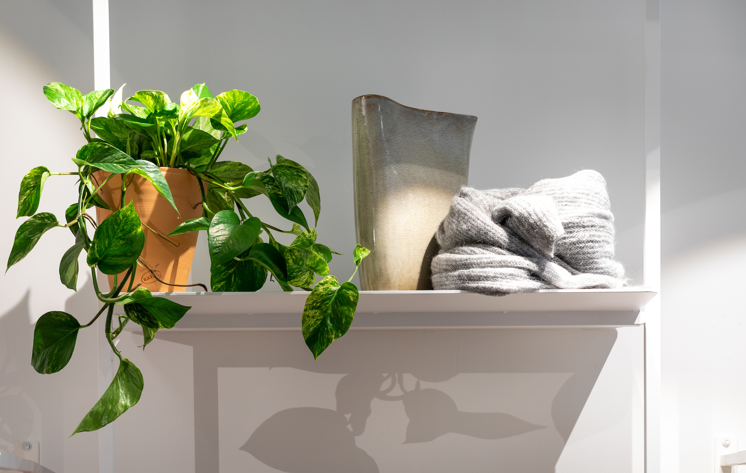 American Vintage (3)