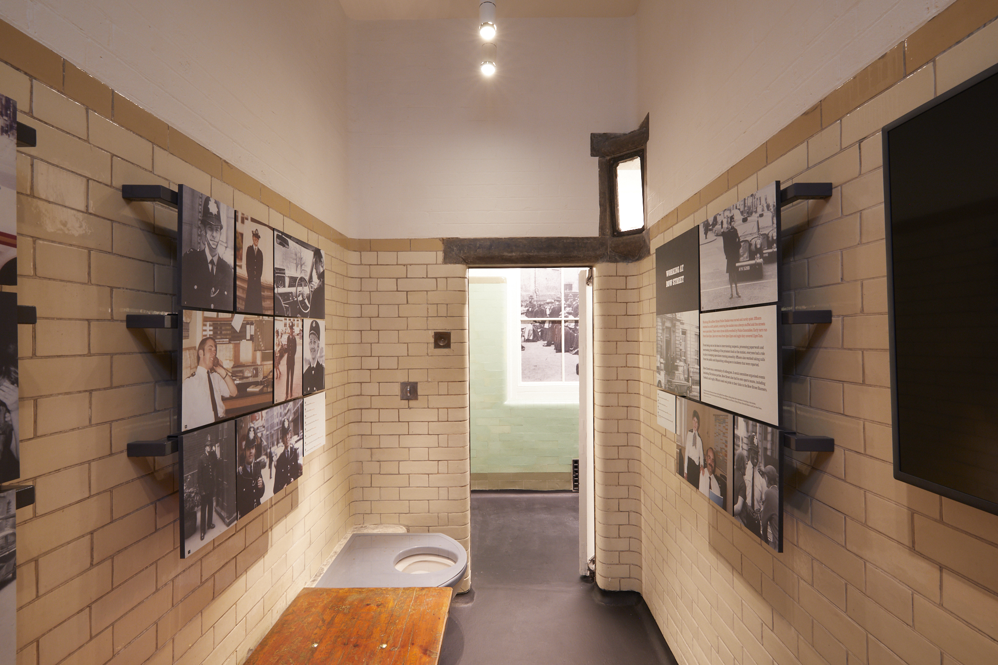 BSPM Cells (C) Cristian Barnett