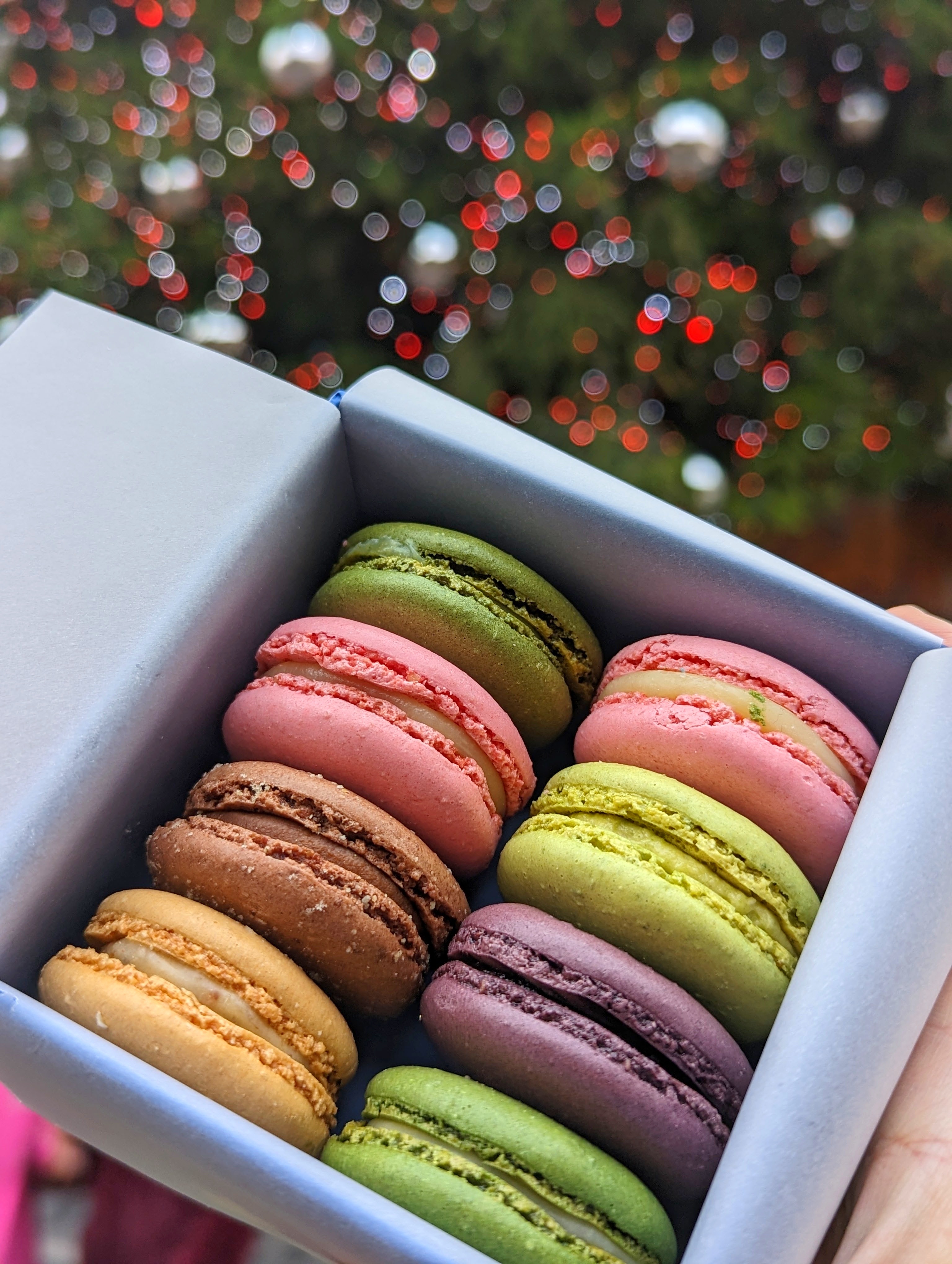 PXL 20221202 140004895.PORTRAIT 01