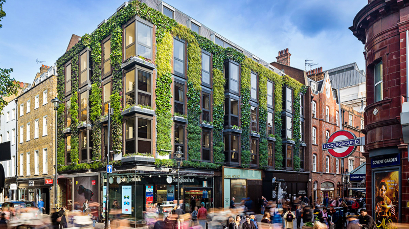 Green Wall Covent Garden 5259 Page 2 Image 0001