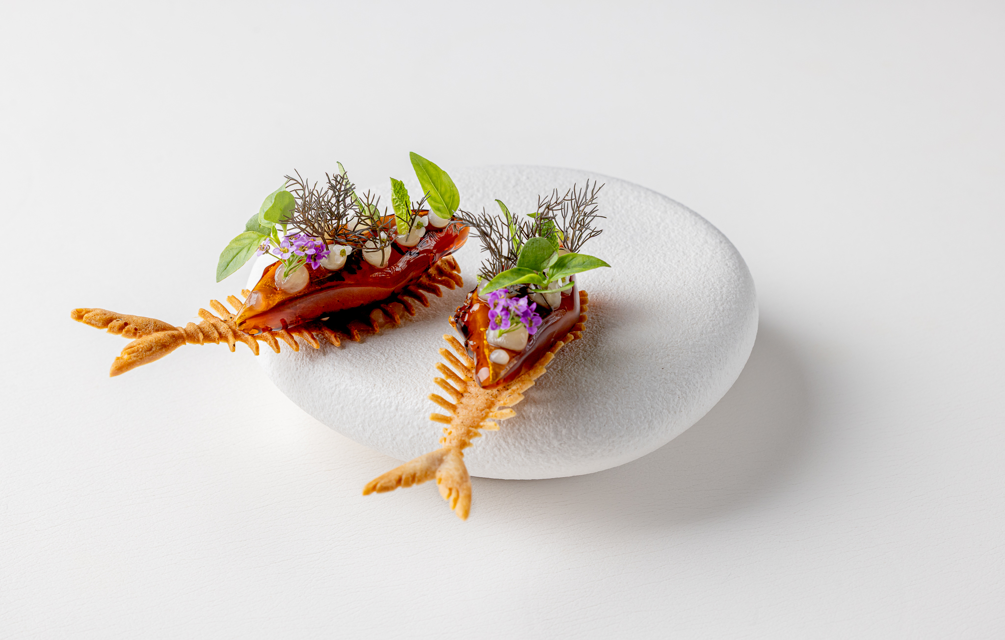 Frog Springdishes Justindesouza 1