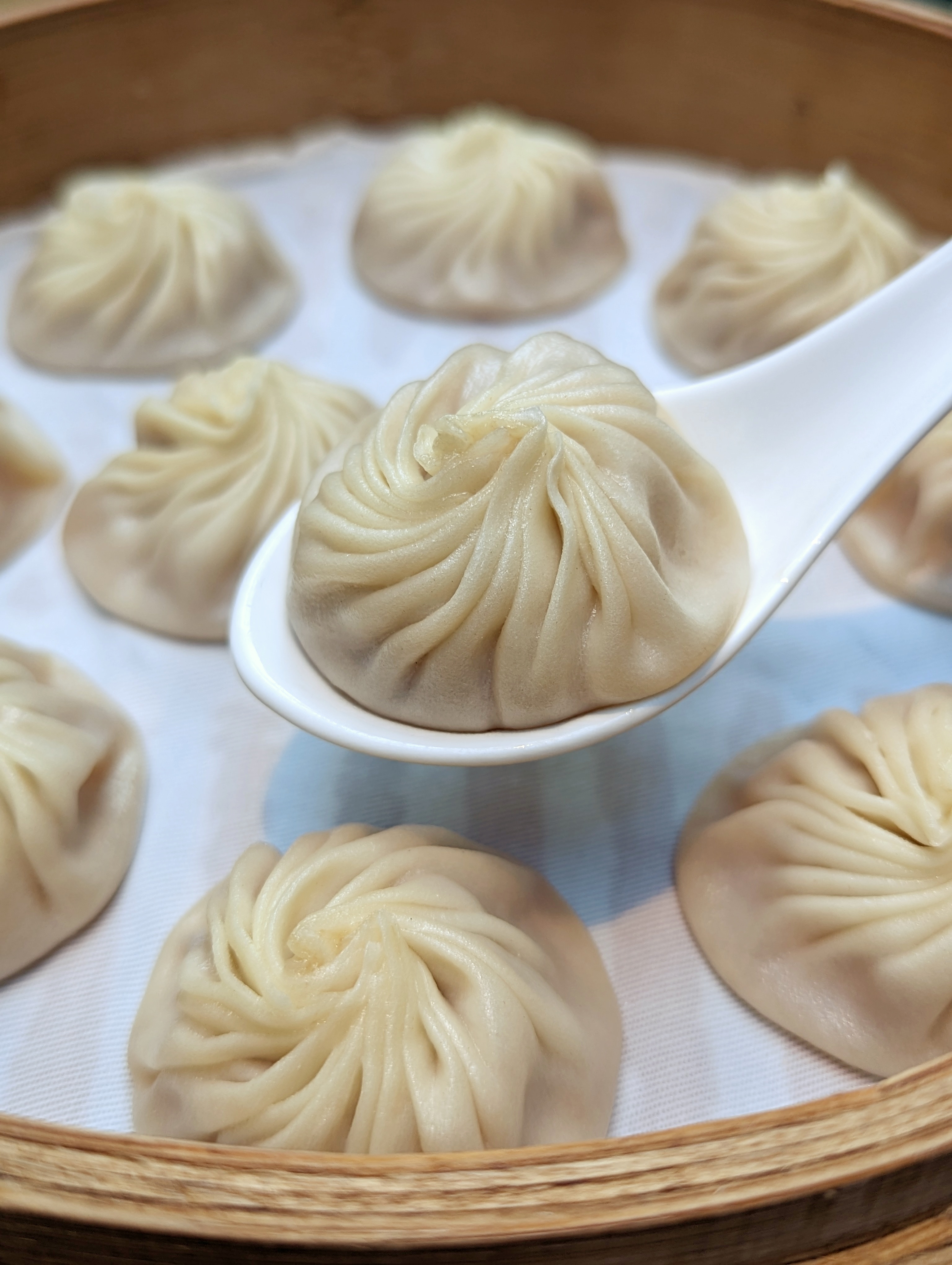 PXL 20230208 134611635.PORTRAIT 01