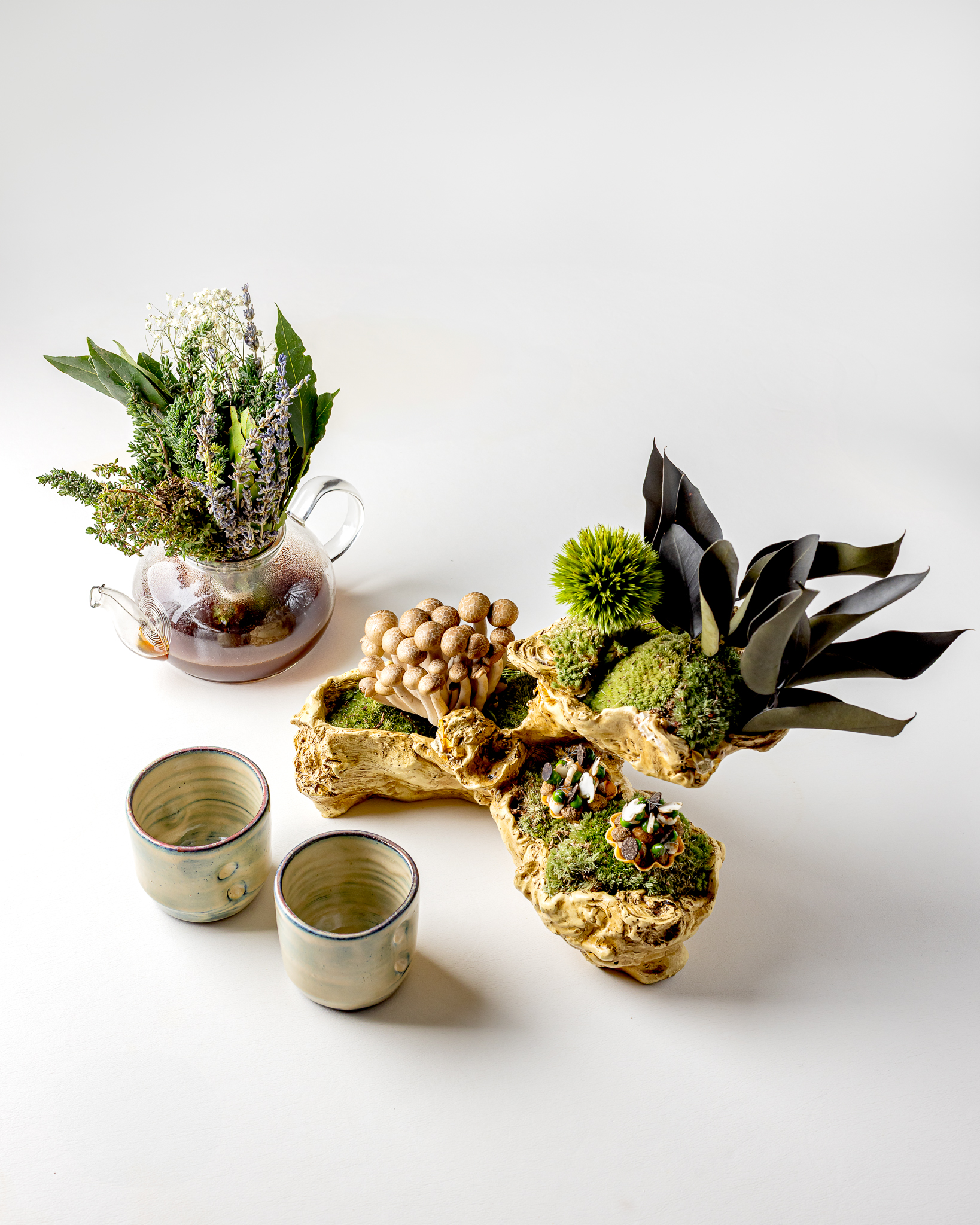 Frog Springdishes Justindesouza 4